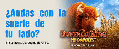 Vive el lujo en Ovalle